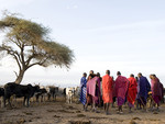 Masai dorp in de Mas